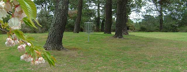 Disc Golf New Zealand Disc Golf New Zealand